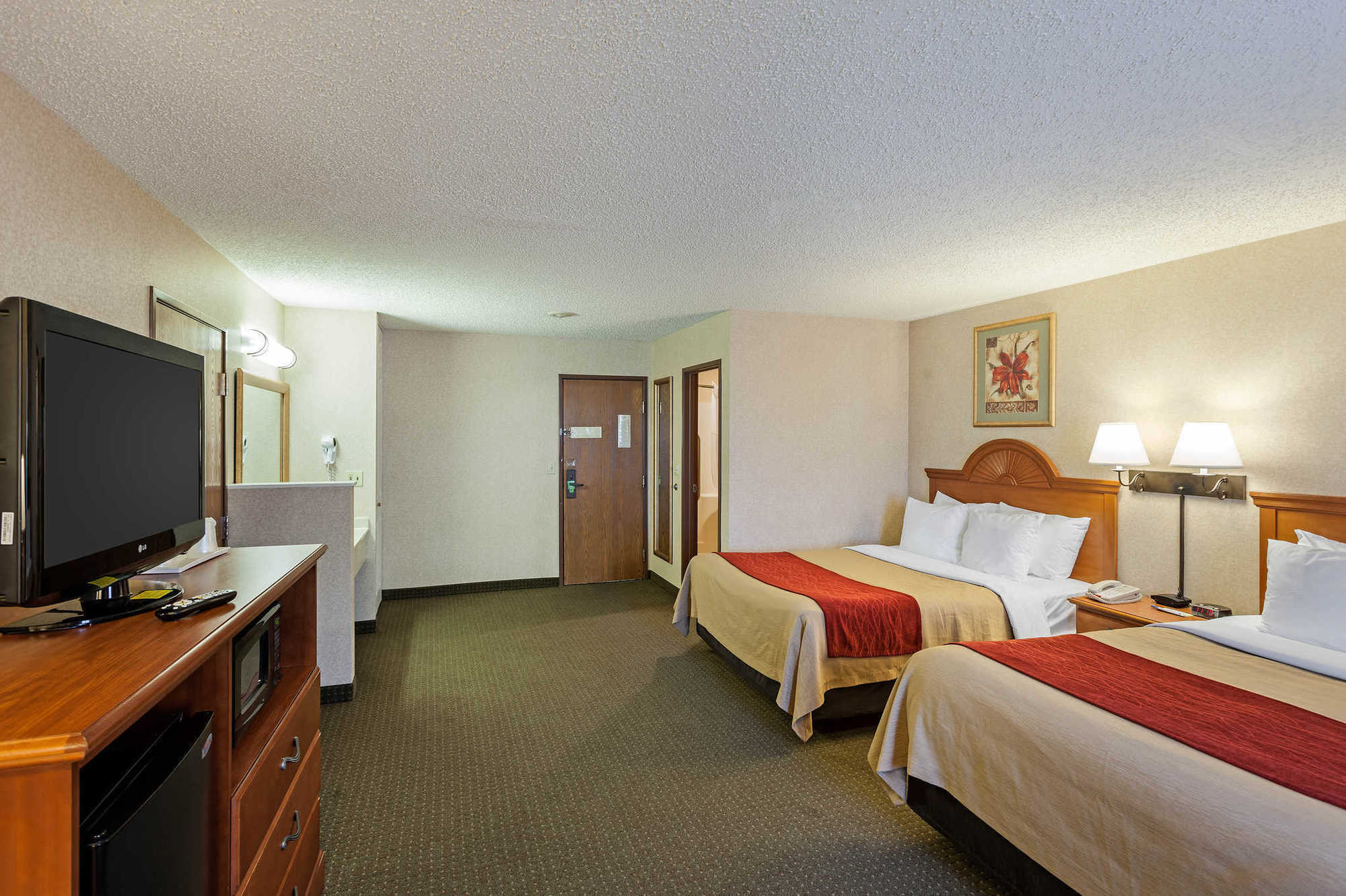 Comfort Inn Lexington Værelse billede